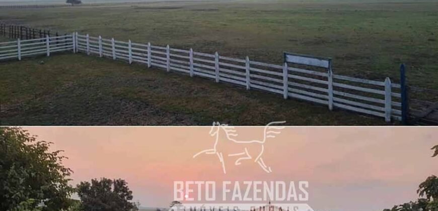 Fazenda à Venda 9.500 Has Grande Potencial Produtivo | Alenquer/ PA