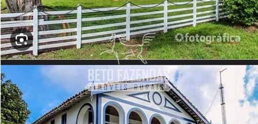 Fazenda à Venda 9.500 Has Grande Potencial Produtivo | Alenquer/ PA