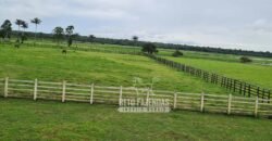 Fazenda à Venda 9.500 Has Grande Potencial Produtivo | Alenquer/ PA