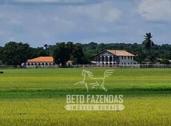 Fazenda à Venda 9.500 Has Grande Potencial Produtivo | Alenquer/ PA Fazenda à Venda 9.500 Has Grande Potencial Produtivo | Alenquer/ PA