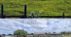 Fazenda à Venda 9.500 Has Grande Potencial Produtivo | Alenquer/ PA