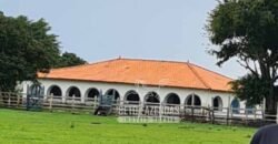 Fazenda à Venda 9.500 Has Grande Potencial Produtivo | Alenquer/ PA