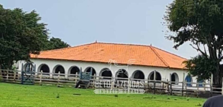 Fazenda à Venda 9.500 Has Grande Potencial Produtivo | Alenquer/ PA