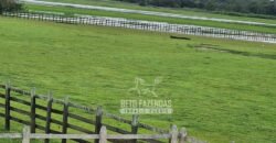 Fazenda à Venda 9.500 Has Grande Potencial Produtivo | Alenquer/ PA