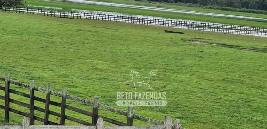 Fazenda à Venda 9.500 Has Grande Potencial Produtivo | Alenquer/ PA