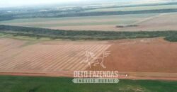 Venda de Fazenda 33.000 Has Lavoura e Pecuária Logística e Armazenamento | Porto Alegre do Norte/MT
