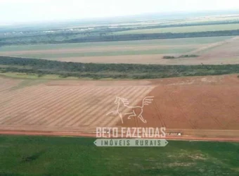 Venda de Fazenda 33.000 Has Lavoura e Pecuária Logística e Armazenamento | Porto Alegre do Norte/MT Venda de Fazenda 33.000 Has Lavoura e Pecuária Logística e Armazenamento | Porto Alegre do Norte/MT