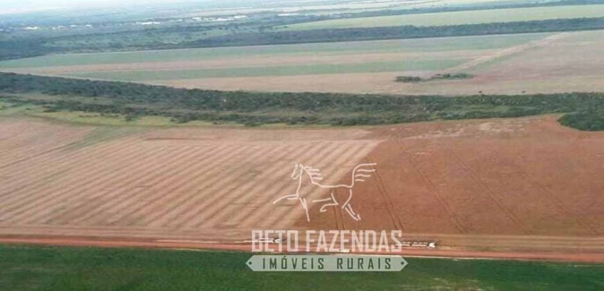 Venda de Fazenda 33.000 Has Lavoura e Pecuária Logística e Armazenamento | Porto Alegre do Norte/MT