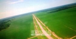 Venda de Fazenda 33.000 Has Lavoura e Pecuária Logística e Armazenamento | Porto Alegre do Norte/MT