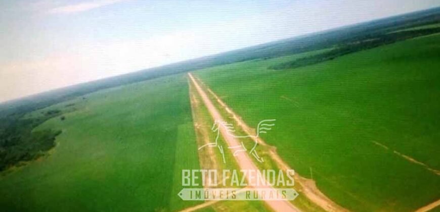 Venda de Fazenda 33.000 Has Lavoura e Pecuária Logística e Armazenamento | Porto Alegre do Norte/MT