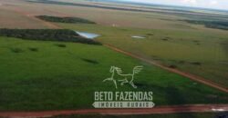 Venda de Fazenda 33.000 Has Lavoura e Pecuária Logística e Armazenamento | Porto Alegre do Norte/MT