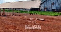 Venda de Fazenda 33.000 Has Lavoura e Pecuária Logística e Armazenamento | Porto Alegre do Norte/MT