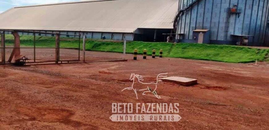 Venda de Fazenda 33.000 Has Lavoura e Pecuária Logística e Armazenamento | Porto Alegre do Norte/MT