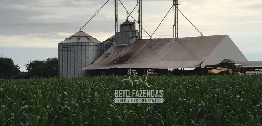 Fazenda à Venda 18.530 Hectares Infraestrutura Completa | Porto dos Gaúchos/MT