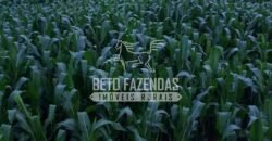 Fazenda à Venda 18.530 Hectares Infraestrutura Completa | Porto dos Gaúchos/MT