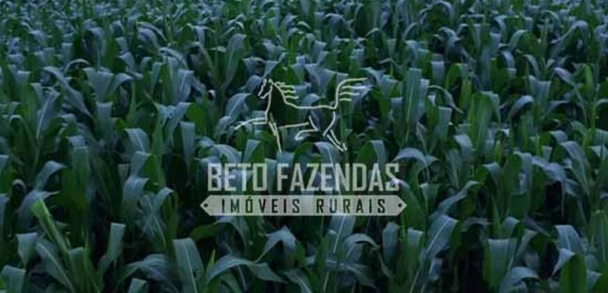 Fazenda à Venda 18.530 Hectares Infraestrutura Completa | Porto dos Gaúchos/MT