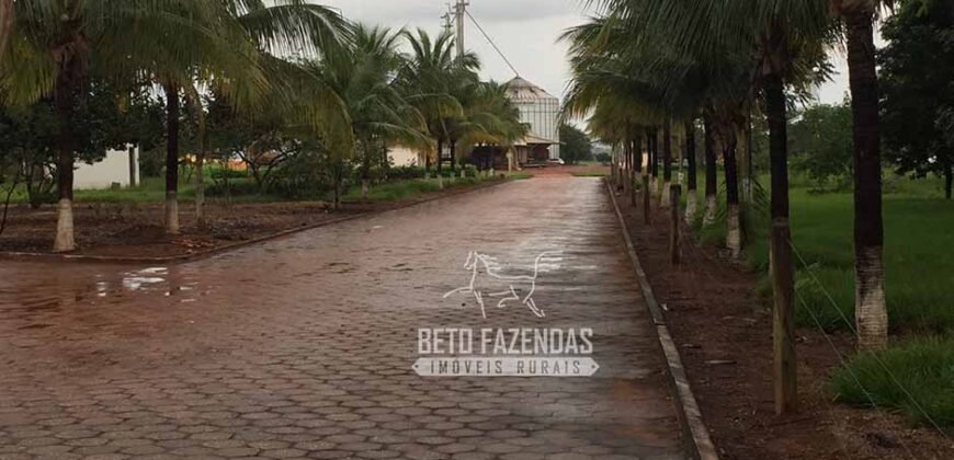 Fazenda à Venda 18.530 Hectares Infraestrutura Completa | Porto dos Gaúchos/MT