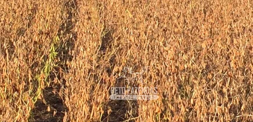 Fazenda à Venda 18.530 Hectares Infraestrutura Completa | Porto dos Gaúchos/MT