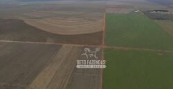Fazenda à Venda 17.800 Hectares Gigante do Agronegócio | Tangará da Serra/MT