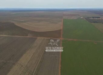 Fazenda à Venda 17.800 Hectares Gigante do Agronegócio | Tangará da Serra/MT