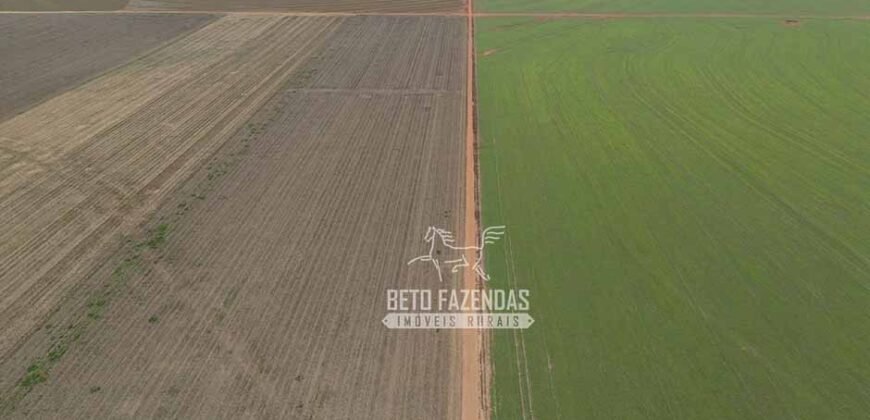 Fazenda à Venda 17.800 Hectares Gigante do Agronegócio | Tangará da Serra/MT