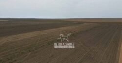 Fazenda à Venda 17.800 Hectares Gigante do Agronegócio | Tangará da Serra/MT