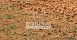 Fazenda à Venda 20.650 Hectares Infraestrutura Completa | Paranatinga/MT