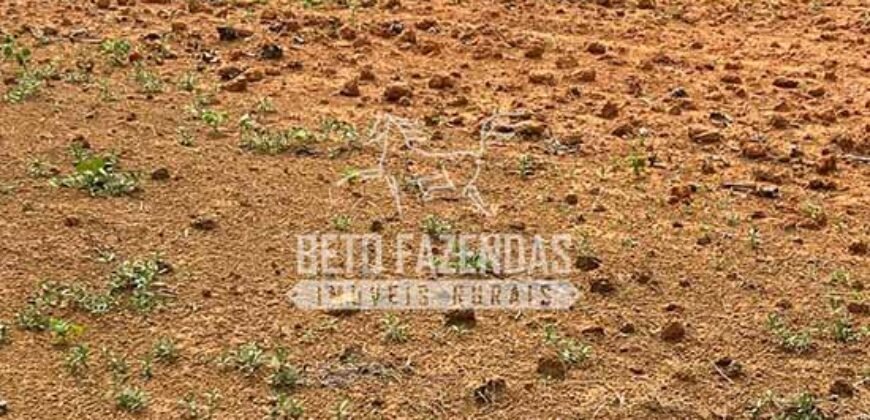 Fazenda à Venda 20.650 Hectares Infraestrutura Completa | Paranatinga/MT