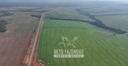 Fazenda à Venda 20.650 Hectares Infraestrutura Completa | Paranatinga/MT