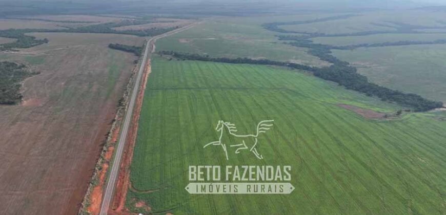Fazenda à Venda 20.650 Hectares Infraestrutura Completa | Paranatinga/MT