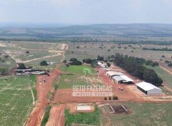 Fazenda à Venda 20.650 Hectares Infraestrutura Completa | Paranatinga/MT