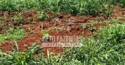 Fazenda à Venda 20.650 Hectares Infraestrutura Completa | Paranatinga/MT