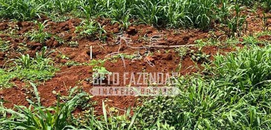 Fazenda à Venda 20.650 Hectares Infraestrutura Completa | Paranatinga/MT