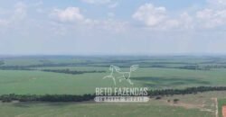 Fazenda à Venda 20.650 Hectares Infraestrutura Completa | Paranatinga/MT