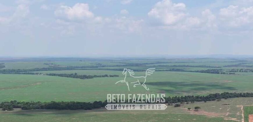 Fazenda à Venda 20.650 Hectares Infraestrutura Completa | Paranatinga/MT