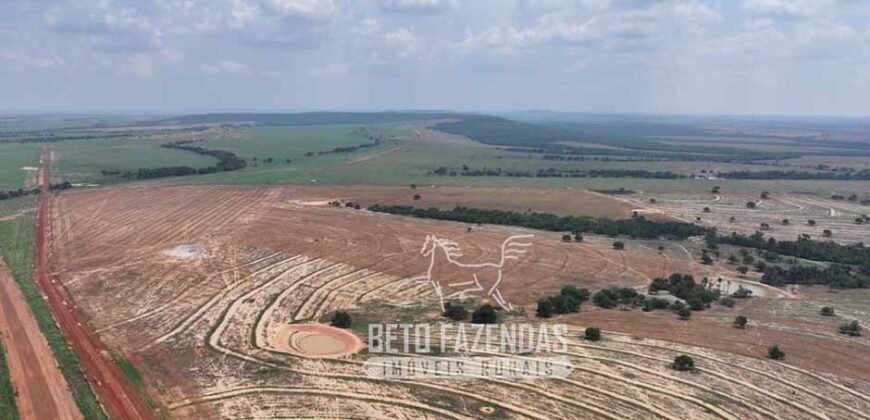 Fazenda à Venda 20.650 Hectares Infraestrutura Completa | Paranatinga/MT