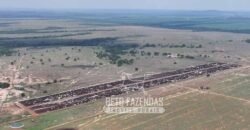 Fazenda à Venda 20.650 Hectares Infraestrutura Completa | Paranatinga/MT