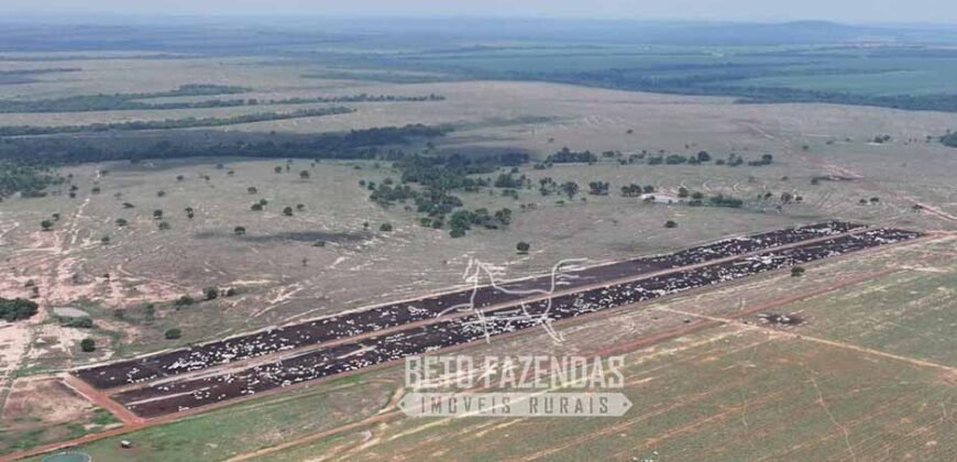 Fazenda à Venda 20.650 Hectares Infraestrutura Completa | Paranatinga/MT