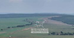 Fazenda à Venda 20.650 Hectares Infraestrutura Completa | Paranatinga/MT