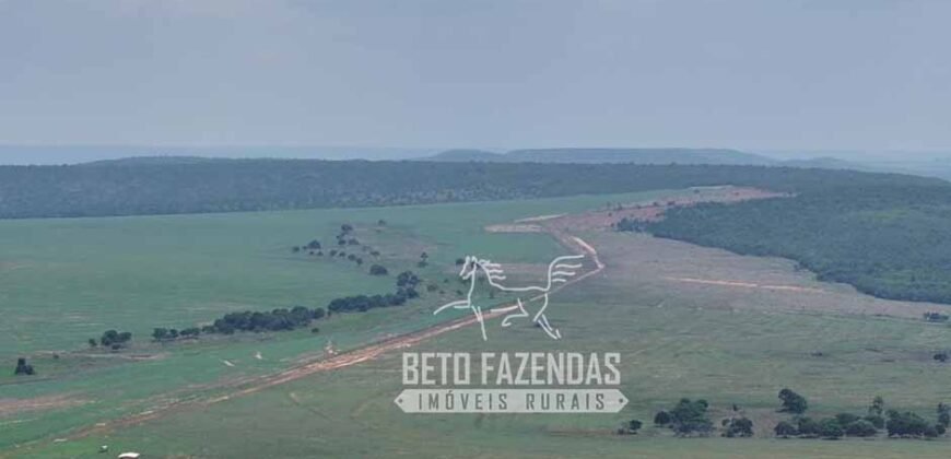 Fazenda à Venda 20.650 Hectares Infraestrutura Completa | Paranatinga/MT