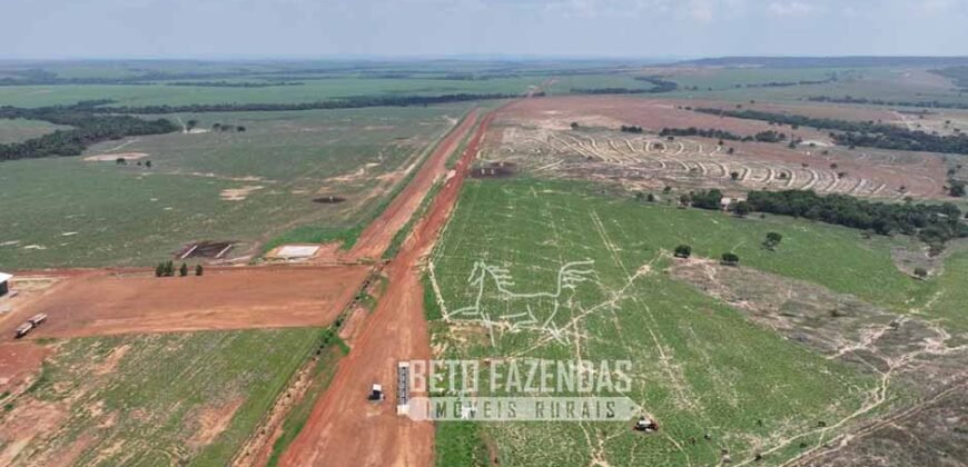 Fazenda à Venda 20.650 Hectares Infraestrutura Completa | Paranatinga/MT