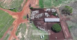 Fazenda à Venda 20.650 Hectares Infraestrutura Completa | Paranatinga/MT