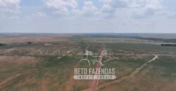 Fazenda à Venda 20.650 Hectares Infraestrutura Completa | Paranatinga/MT
