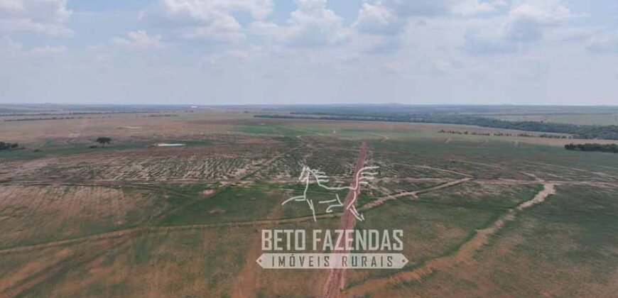 Fazenda à Venda 20.650 Hectares Infraestrutura Completa | Paranatinga/MT