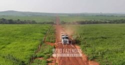 Fazenda à Venda 20.650 Hectares Infraestrutura Completa | Paranatinga/MT