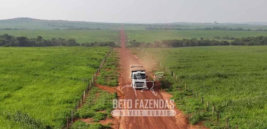 Fazenda à Venda 20.650 Hectares Infraestrutura Completa | Paranatinga/MT