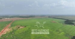 Fazenda à Venda 20.650 Hectares Infraestrutura Completa | Paranatinga/MT