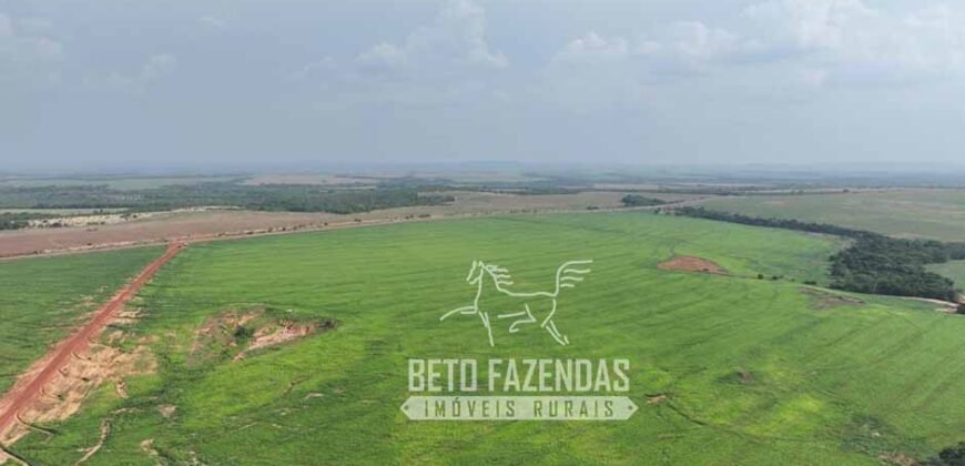 Fazenda à Venda 20.650 Hectares Infraestrutura Completa | Paranatinga/MT