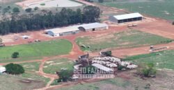 Fazenda à Venda 20.650 Hectares Infraestrutura Completa | Paranatinga/MT