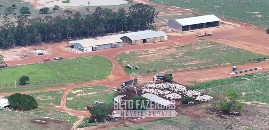 Fazenda à Venda 20.650 Hectares Infraestrutura Completa | Paranatinga/MT